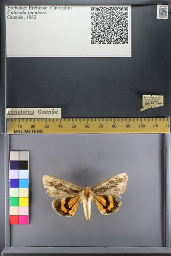 Media type: image;   Entomology 640191